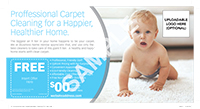 01-ConsumerServices-Carpet&Upholstery-Cleaning-PPC-Solo